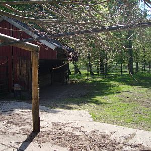 Sk?nes Djurpark May 2013