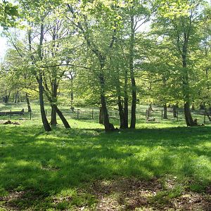 Sk?nes Djurpark May 2013