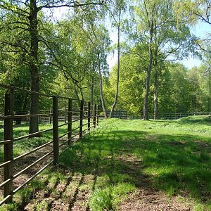 Sk?nes Djurpark May 2013