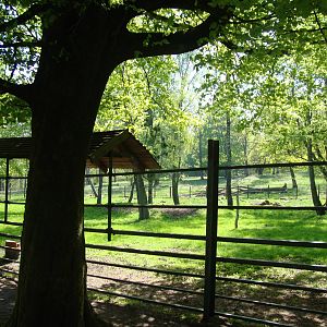 Sk?nes Djurpark May 2013