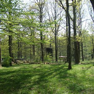 Sk?nes Djurpark May 2013