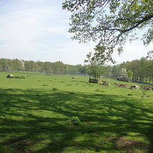 Sk?nes Djurpark May 2013