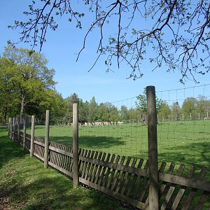 Sk?nes Djurpark May 2013