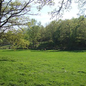 Sk?nes Djurpark May 2013