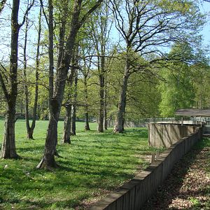 Sk?nes Djurpark May 2013