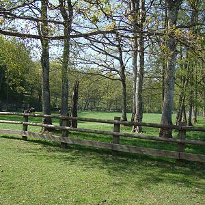 Sk?nes Djurpark May 2013