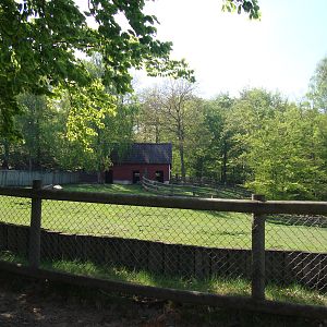 Sk?nes Djurpark May 2013