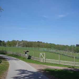 Sk?nes Djurpark May 2013