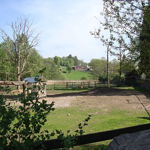 Sk?nes Djurpark May 2013