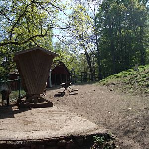 Sk?nes Djurpark May 2013