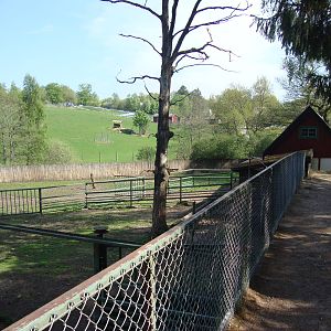 Sk?nes Djurpark May 2013