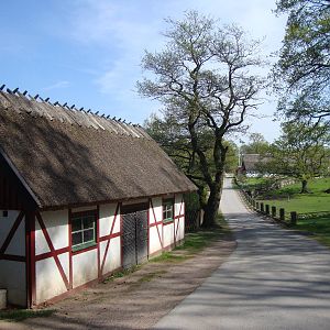 Sk?nes Djurpark May 2013