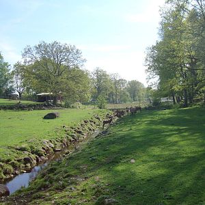 Sk?nes Djurpark May 2013