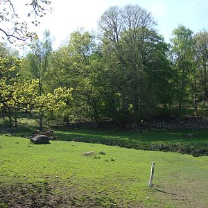 Sk?nes Djurpark May 2013