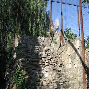 Greater spotted eagle exhibit