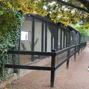 Aviaries, September 2013