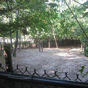 Oct. 2013 - Wildlife Canyon - Sumatran Rhinoceros Private Yard