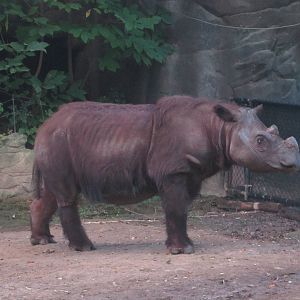 Oct. 2013 - Wildlife Canyon - Harapan