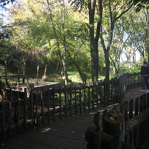 Oct. 2013 - White Lions of Timbavati Exhibit + Viewing