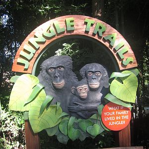 Oct. 2013 - New Jungle Trails Entrance Sign