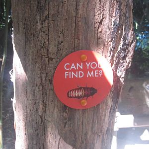 Oct. 2013 - Jungle Trails - 'Can You Find Me Sign'