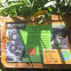 Oct. 2013 - Jungle Trails - New Bonobo Sign