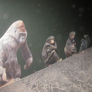 Oct. 2013 - Jungle Trails - New Primate Cutouts