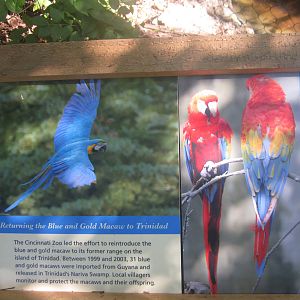Oct. 2013 - Wings of the World - New Macaw Sign