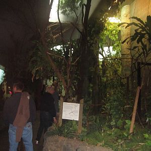 Oct. 2013 - Wings of the World