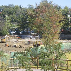 Oct. 2013 - Africa - Africa Wild Dog Exhibit Progress