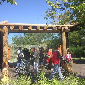 Oct. 2013 - Africa - African Lion Exhibit Viewing