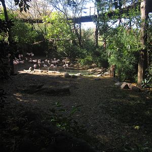 Oct. 2013 - Rhino Reserve - Flamingo Cove