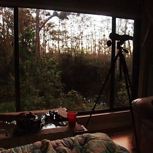 Western Everglades/Big Cypress, October 2013