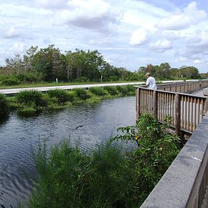 Western Everglades/Big Cypress, October 2013