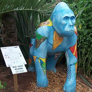 To complement Gigit's photograph