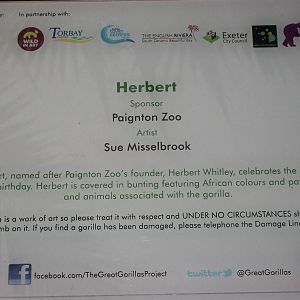 To complement Gigit's photograph