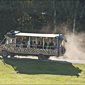 Action-safari at Serengeti Park