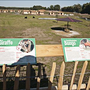 On-foot-safari at Serengeti Park
