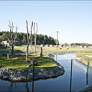 On-foot-safari at Serengeti Park