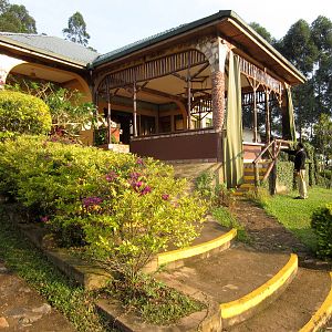 Silverback Lodge
