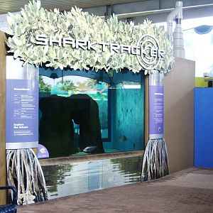 Bonnethead Tank at Mote, 07/10/13