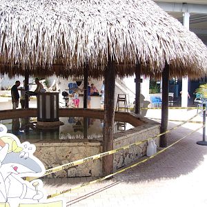 Ray Tank at Mote, 07/10/13