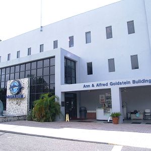 Main Building at Mote, 07/10/13