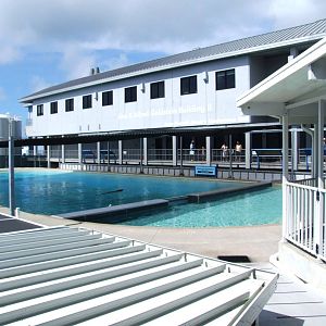 Dolphin Pool at Mote, 07/10/13