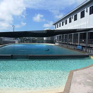 Dolphin Pool at Mote, 07/10/13