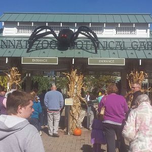 Oct. 2013 - Halloween Themed Zoo Entrance