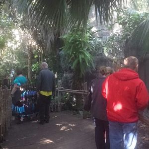 Oct. 2013 - Manatee Springs Greenhouse