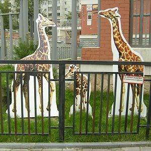 Giraffe murals at elephant exhibit