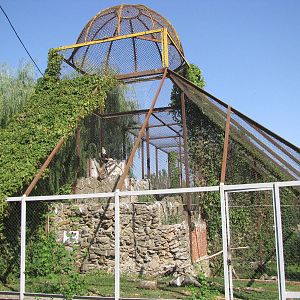 White-tailed eagle exhibit