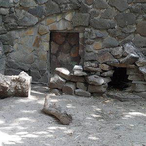 Indian porcupine exhibit